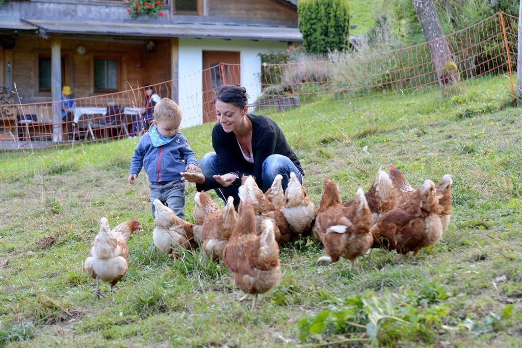 Hosté ubytování Wildauhof