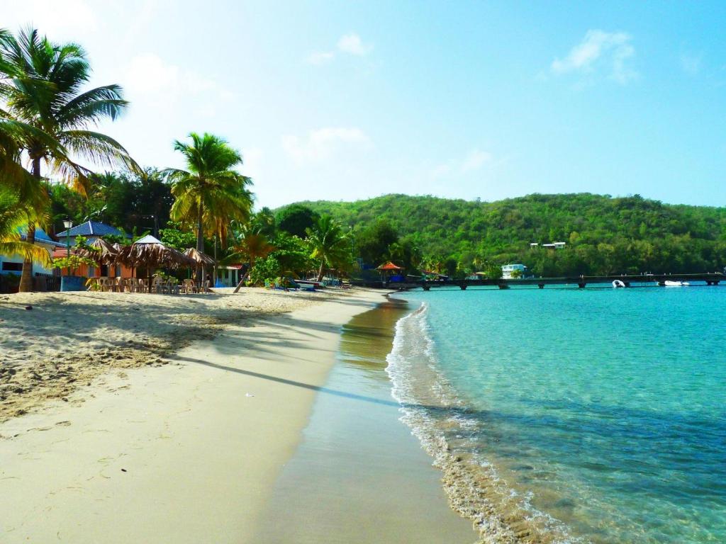 una playa con palmeras y agua azul en Appartement d'une chambre avec terrasse amenagee a Le Vauclin a 3 km de la plage, en Le Vauclin