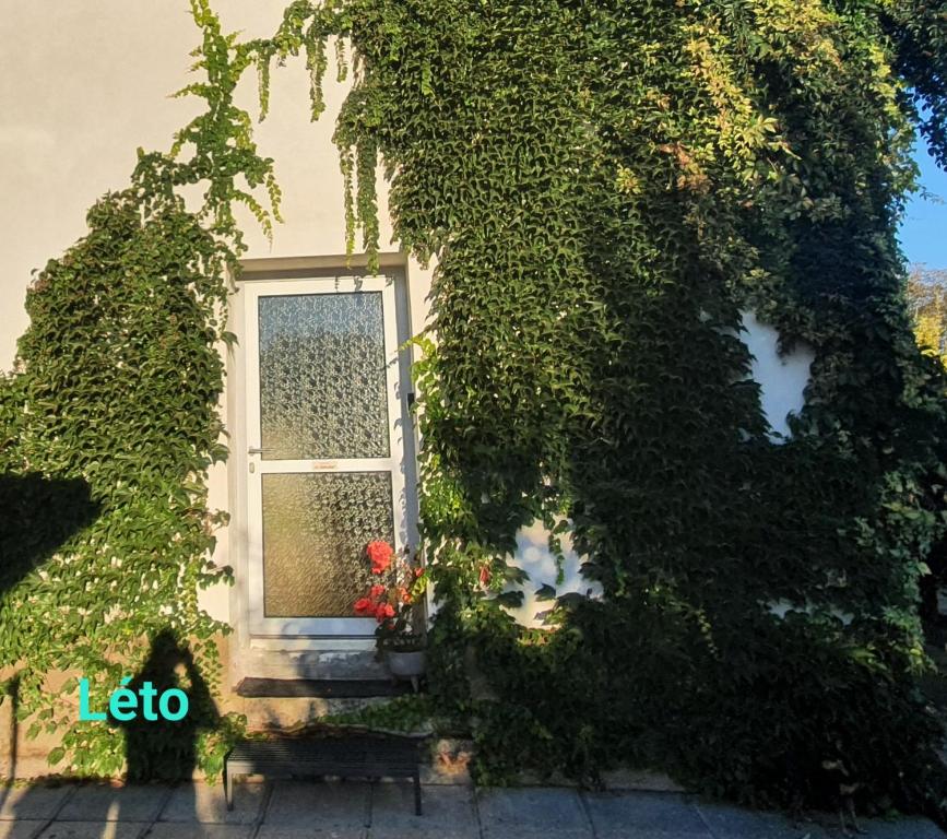 Zahrada ubytování Apartmán U Jakuba