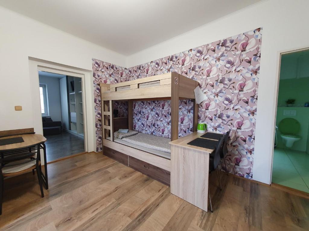 Kuchyň nebo kuchyňský kout v ubytování Apartmán U Jakuba