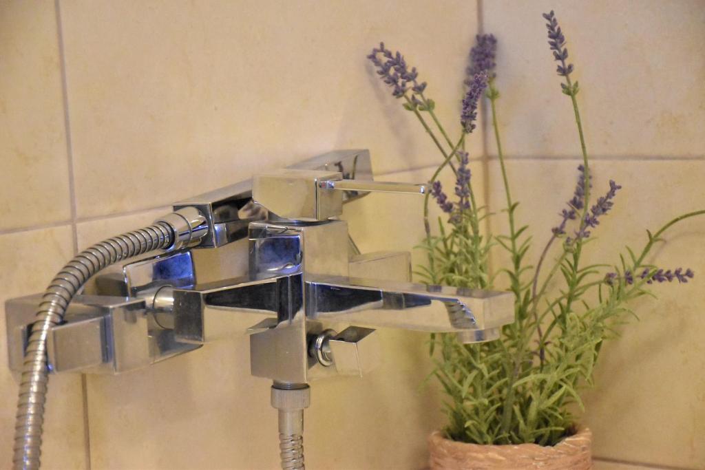un soffione doccia in un bagno con una pianta di The twins house a Samotracia