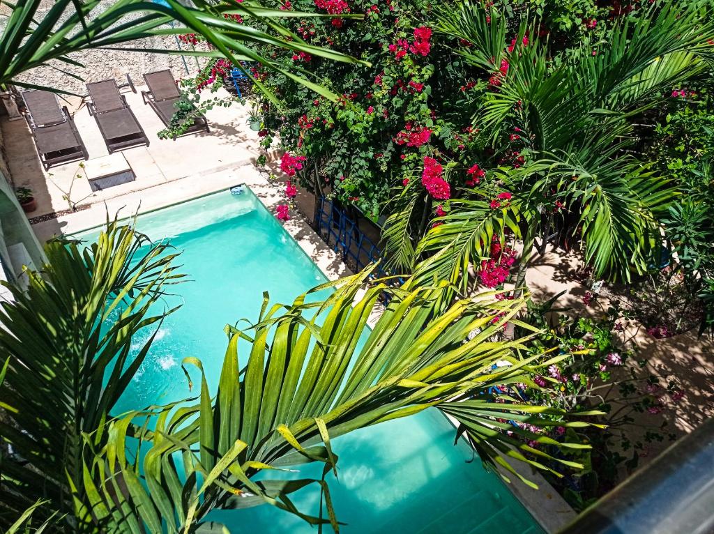 Bazén v ubytování Casa Daniels Guesthouse nebo v jeho okolí