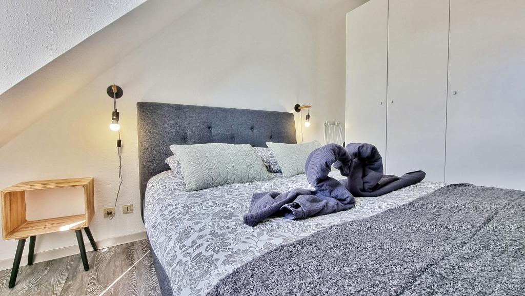Colmar Mon Amour-CHIC-GARAGE-FIBRE-RBNB – photo 46