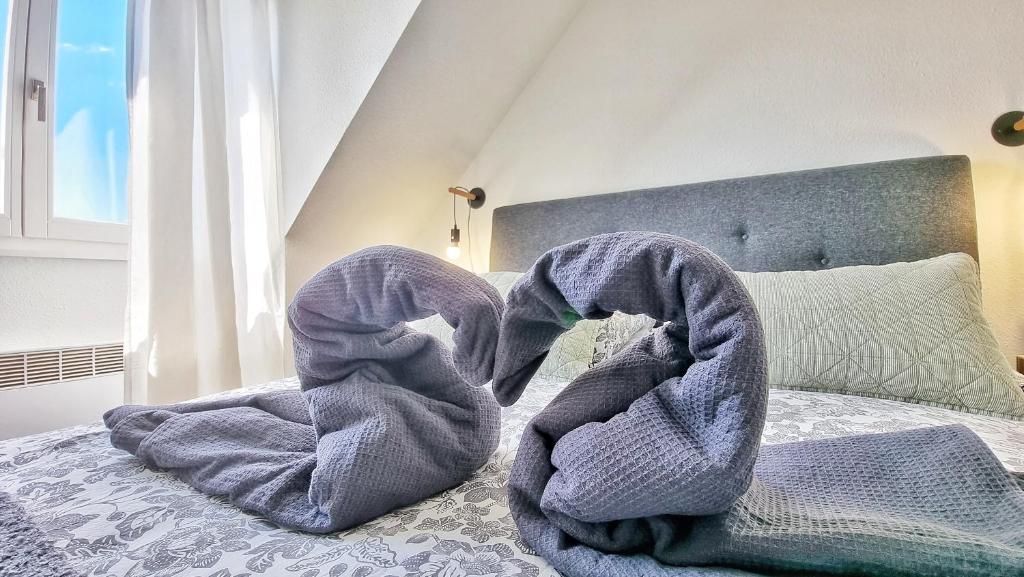 Colmar Mon Amour-CHIC-GARAGE-FIBRE-RBNB – photo 47