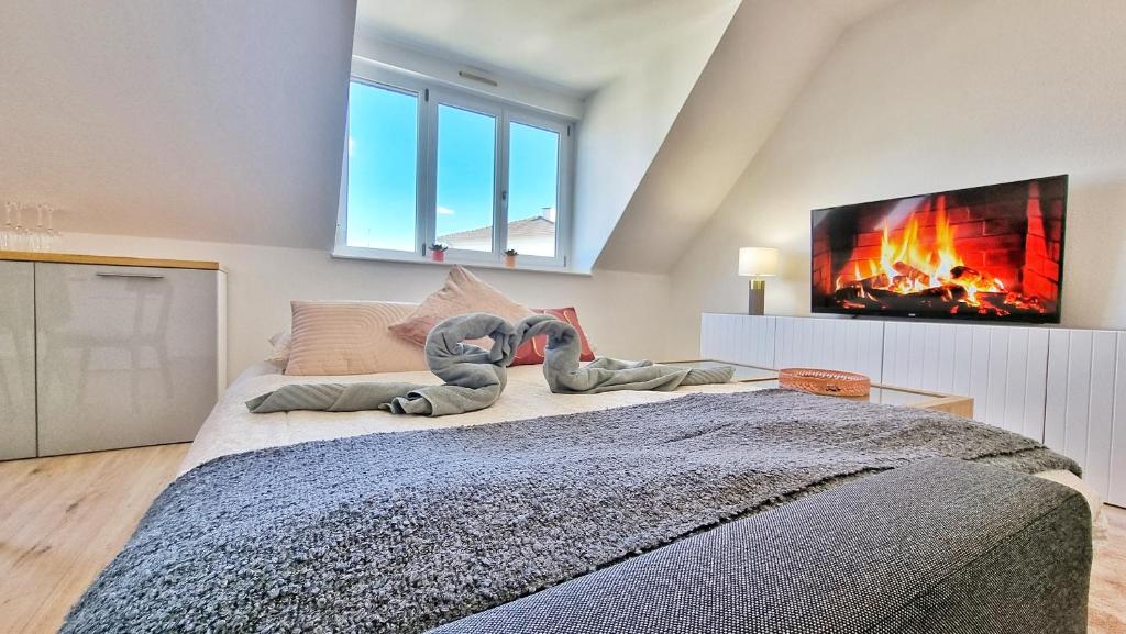 Colmar Mon Amour-CHIC-GARAGE-FIBRE-RBNB – photo 48