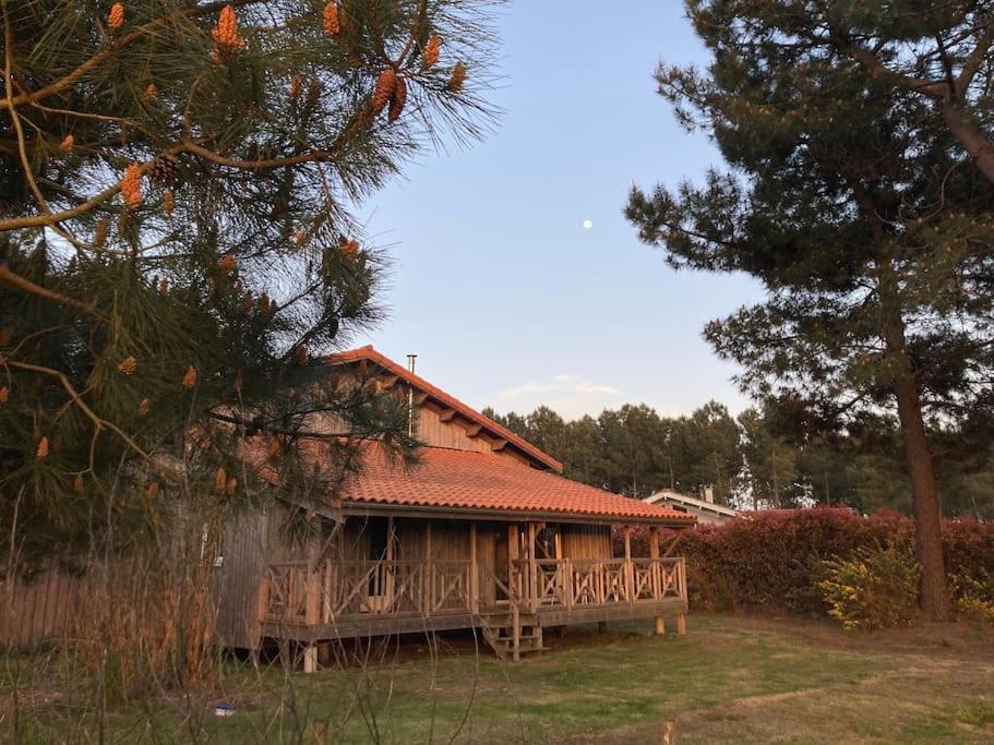 une cabane en bois avec un toit rouge dans un champ dans l'établissement Le Gîte de l'Aérogrange, à Biscarrosse