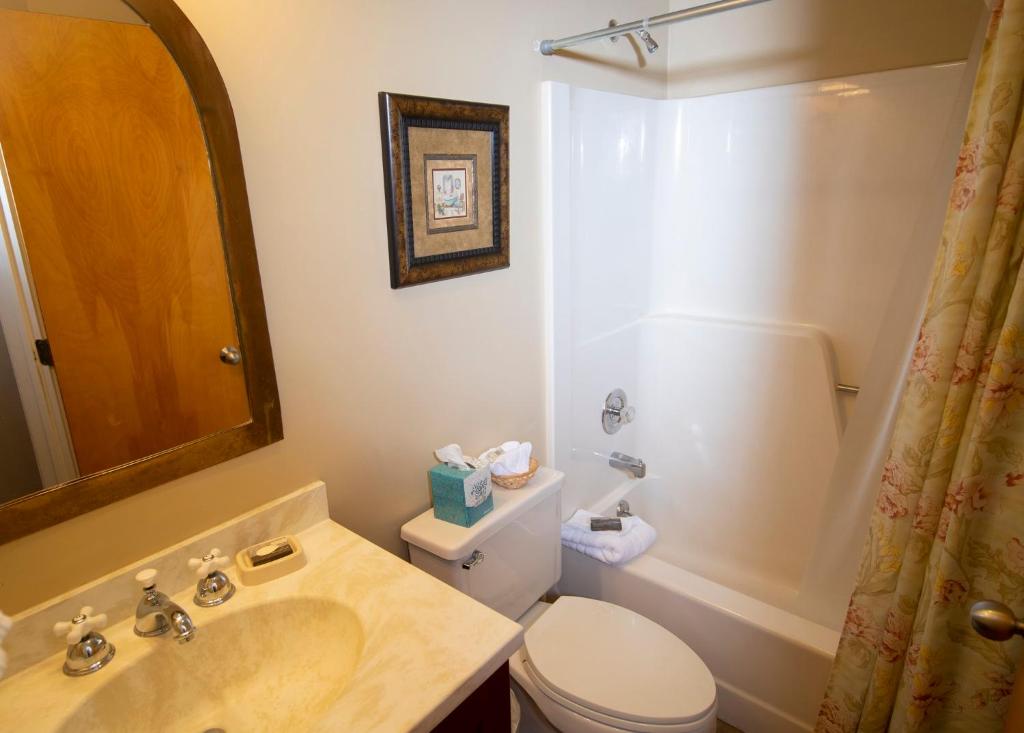 a bathroom with a sink and a toilet and a shower at Mountain Lodge at Okemo in Ludlow
