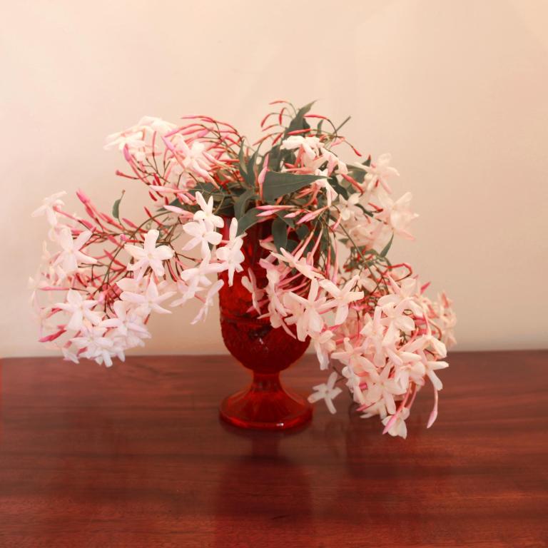 Quinta das Malvas - Quinta de Santa Luzia - 11