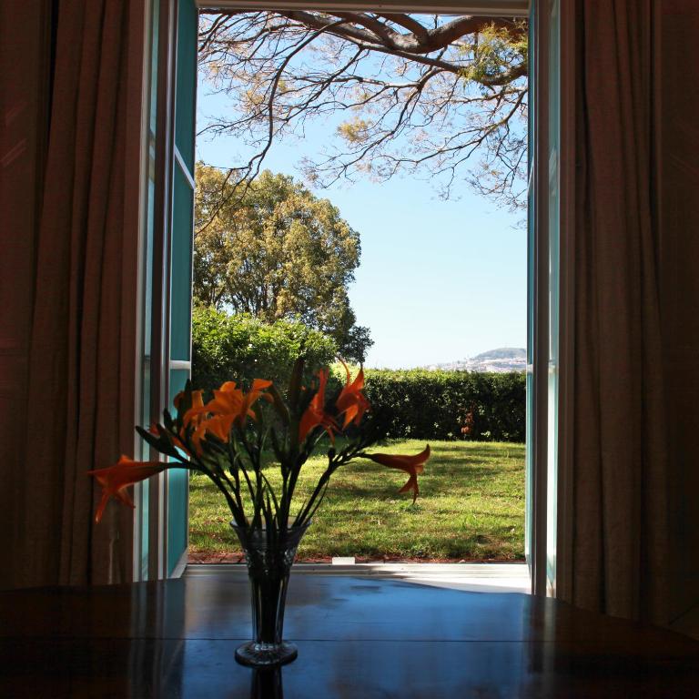 Quinta das Malvas - Quinta de Santa Luzia - 14