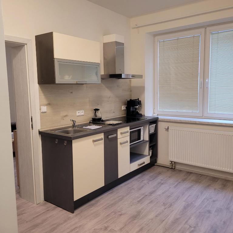 Kuchyň nebo kuchyňský kout v ubytování Apartmán Křtiny