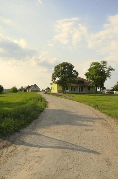 Příroda nedaleko penzionu