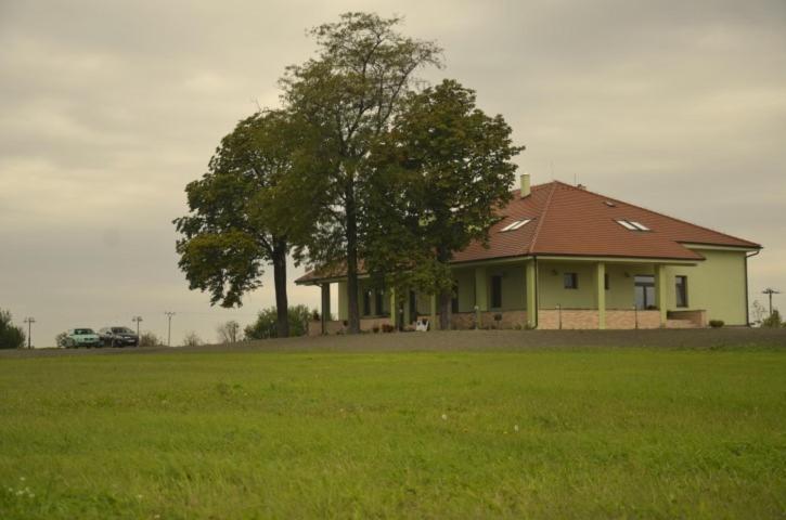 a house in the middle of a green field at Penzion Bokros in Patince