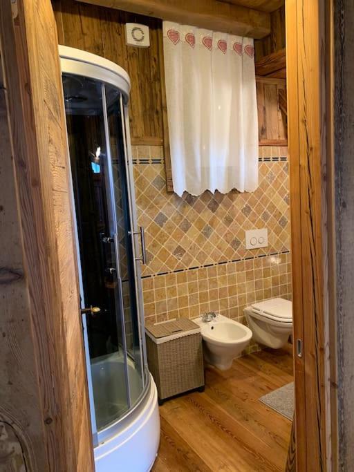 Vannituba majutusasutuses Chalet La Rite Dolomiti