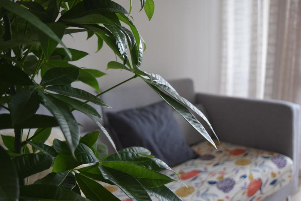 Część wypoczynkowa w obiekcie Residenza Lo Bello Vedere