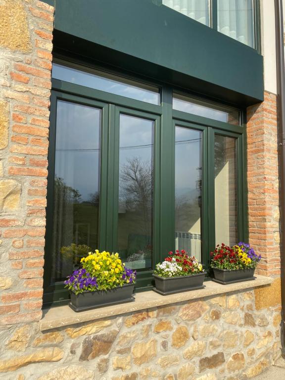 Rincón de picos - 10