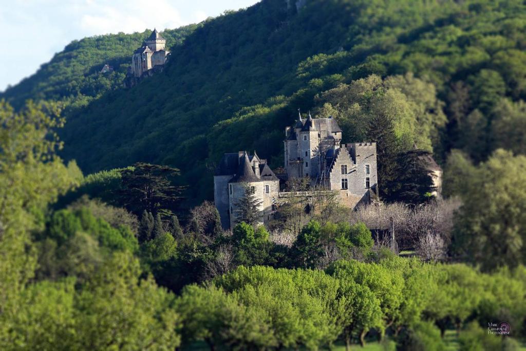a castle on top of a hill with trees at Au coeur de Beynac, une maison de caractère avec jardin terrasse in Beynac-et-Cazenac