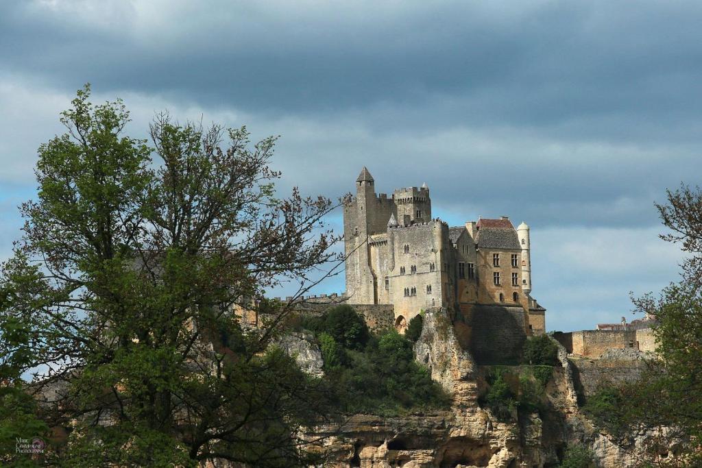 a castle on top of a rocky mountain at Au coeur de Beynac, une maison de caractère avec jardin terrasse in Beynac-et-Cazenac