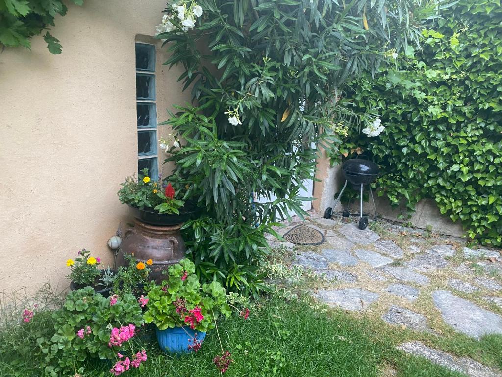 Zahrada ubytování Casa rural De Añil - Jardín privado