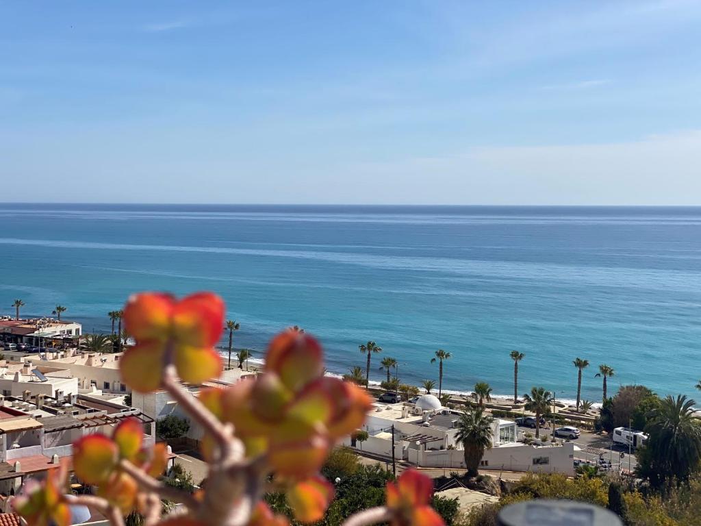 Fotografie z fotogalerie ubytování RESIDENCIAL OASIS 4 v destinaci Mojácar