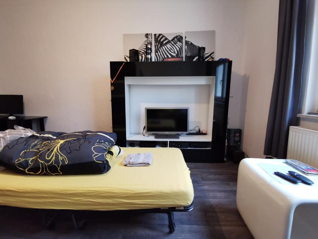 uma sala de estar com um sofá e uma lareira em NearWöhrderSeaAndStation em Nurembergue