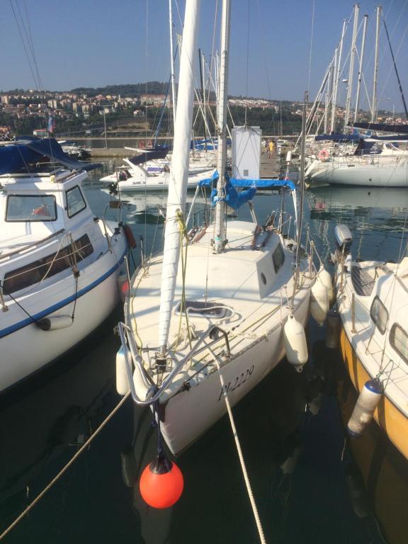 a group of boats docked in a harbor at Boat studio in Koper