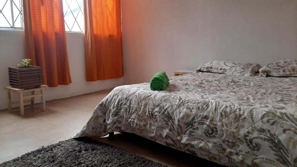 ein Schlafzimmer mit einem Bett mit einem grünen Kissen darauf in der Unterkunft Habitación privada cama doble baño compartido in Bogotá