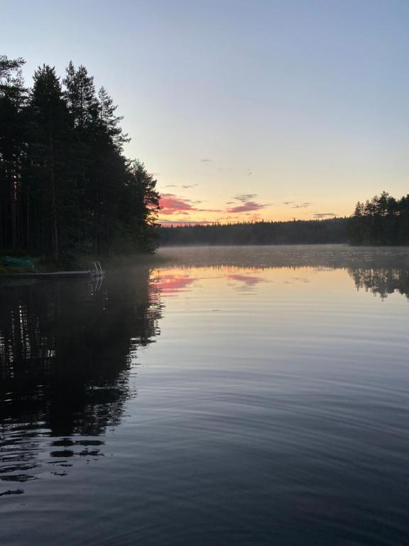 Mökki järven rannalla mäntymetsässä - Salle Double Ou Jumelle Avec Vue
