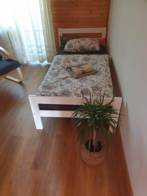 Postel nebo postele na pokoji v ubytování Room Sodja