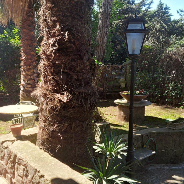 Vonkajšia záhrada v ubytovaní Princess B&B Frascati