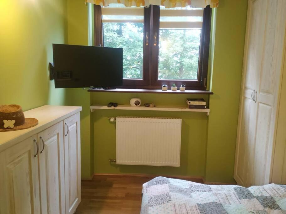 zielony pokój z telewizorem i oknem w obiekcie Klimatyczny apartament nad jeziorem w Łagowie