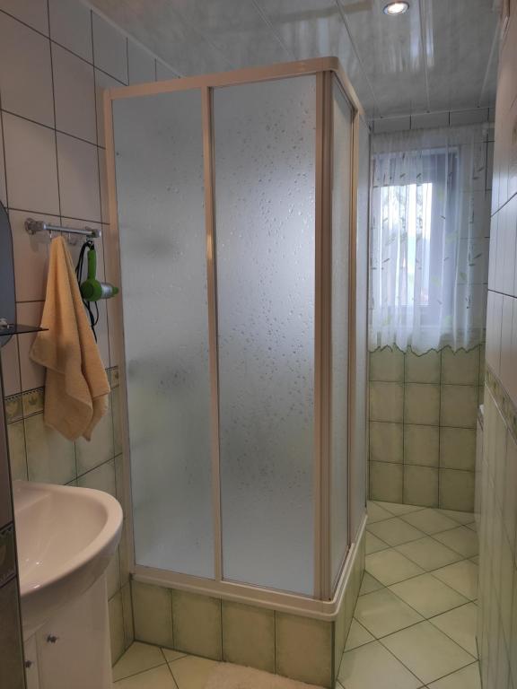 Kúpeľňa v ubytovaní Willa Ewelinka