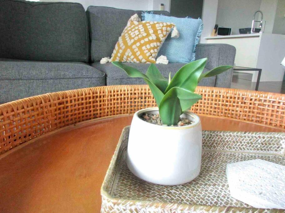 a potted plant on a coffee table in a living room at Aspendale Beach Escape -Walk To Mordialloc in Aspendale