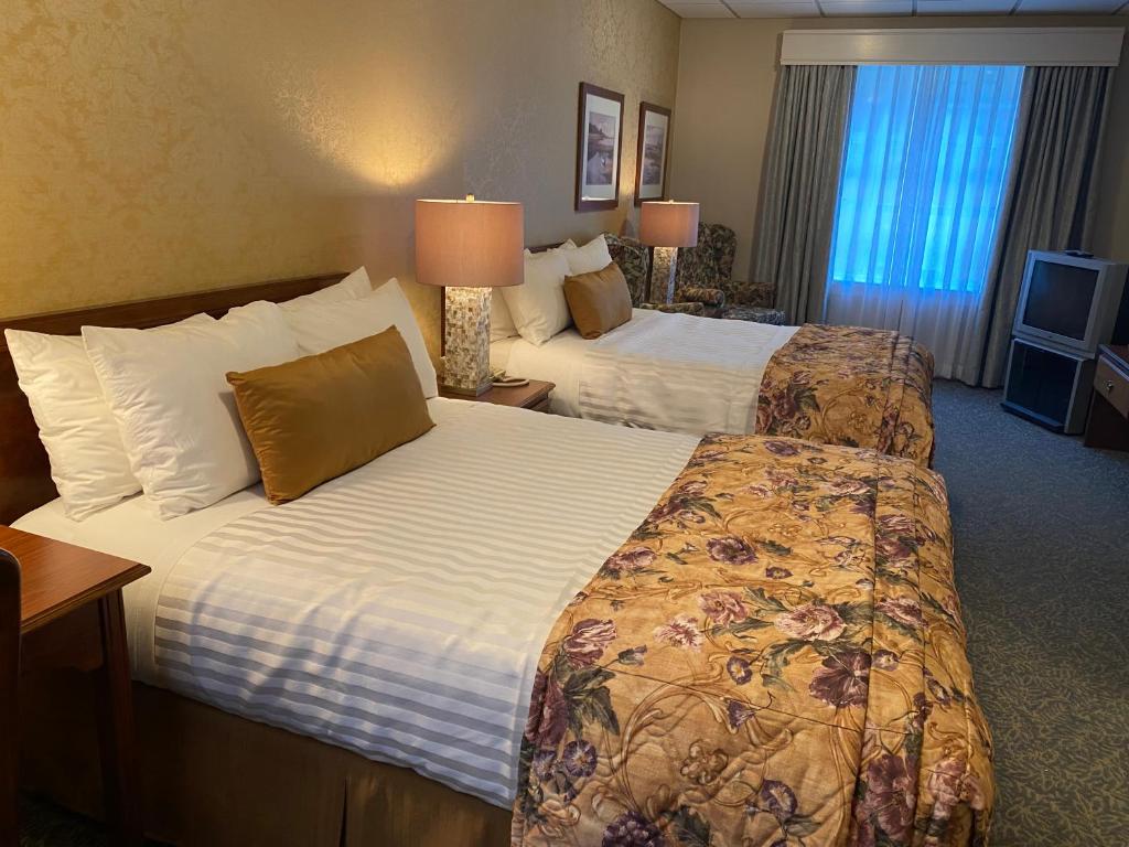 Kingston Hotel - Doppelzimmer Mit Zwei Doppelbetten