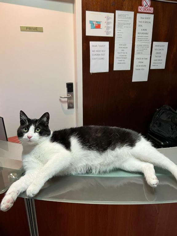 Hotel Sharm - Resim 17