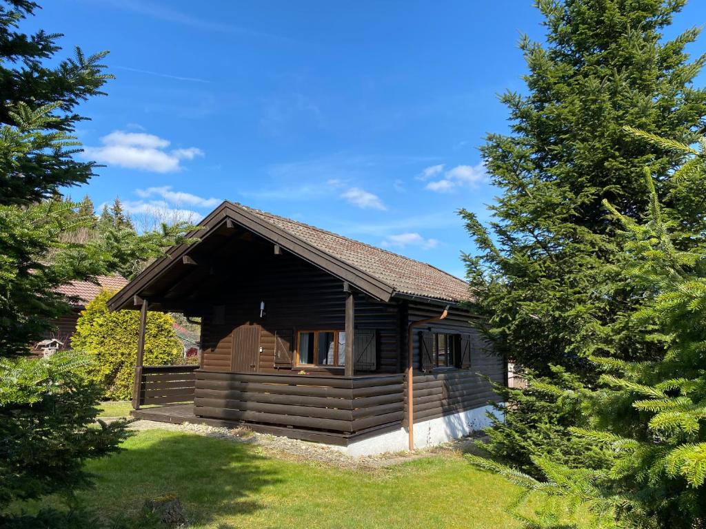 a log cabin in a yard with trees at Ferienhaus-Blockhütte im Fichtelgebirge - Nagler See 2 km in Nagel