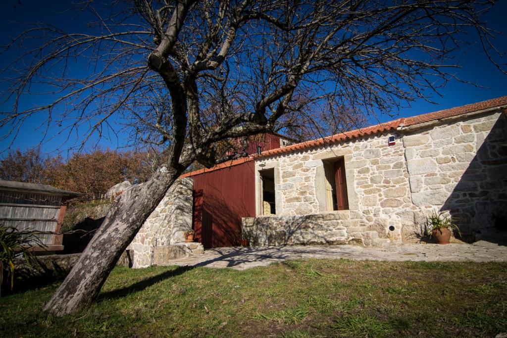 une maison en pierre avec un arbre en face de celle-ci dans l'établissement Casas dos Avos, à Vale de Cambra