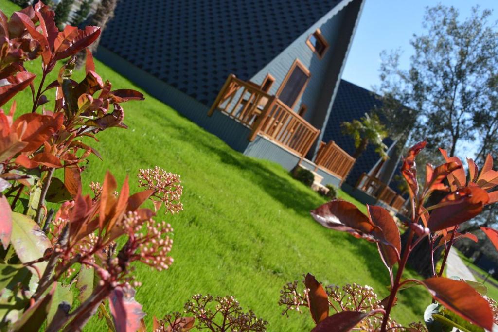 Fotografie z fotogalerie ubytování Verde Blu Bungalow v destinaci Edremit