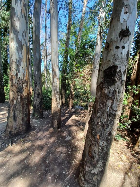 Vonkajšia záhrada v ubytovaní CASA SENDERO DEL RIO