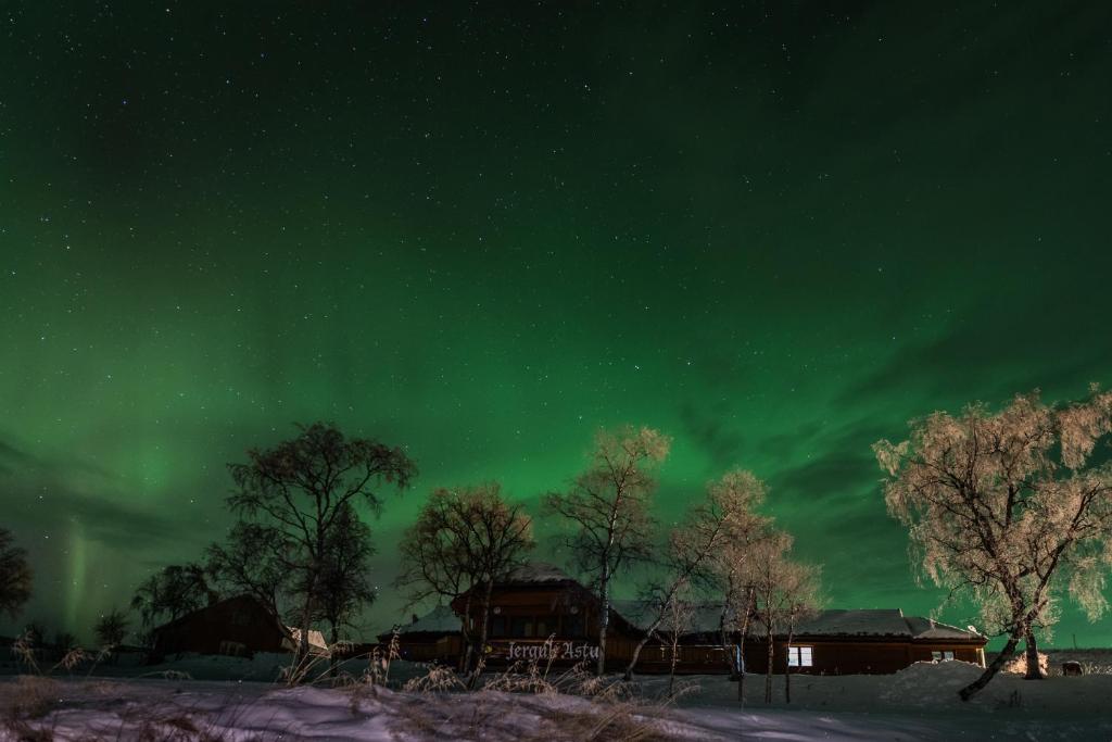 een noorderlicht in de lucht met bomen en huizen bij Jergul Astu in Karasjok