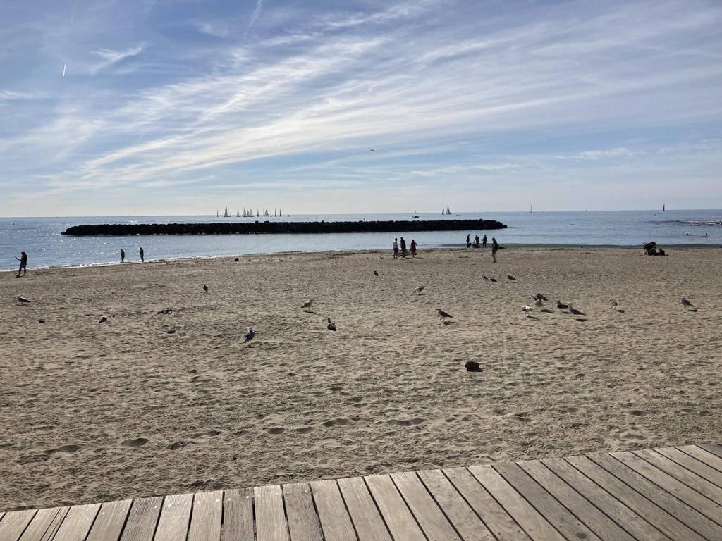 Fotografia z galérie ubytovania Rez-de-jardin calme proche commodités, plage, parking privé, clim, terrasse - Idéal famille - FR-1-723-36 v destinácii Cap d'Agde