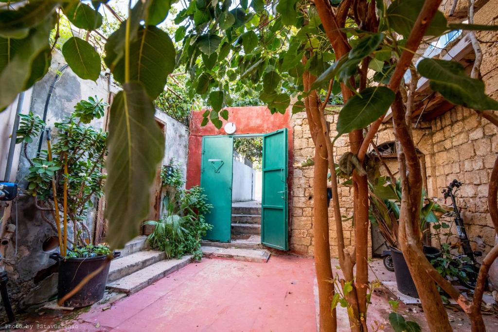 uma porta verde num edifício de tijolos com plantas em הסמטה של יפו em Tel Aviv