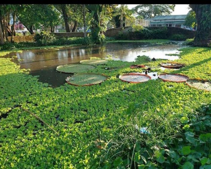 Zahrada ubytování Hotel Alto Amazonas