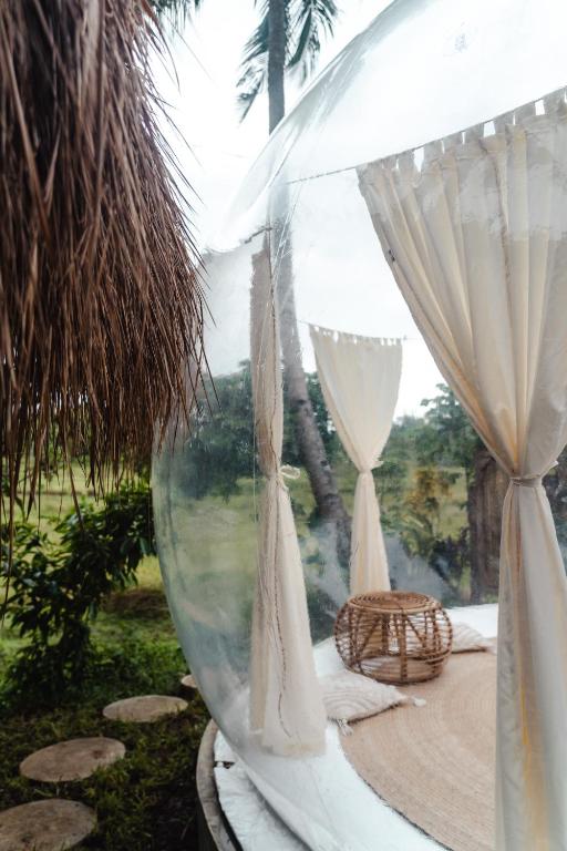 Zahrada ubytování Bubble Siargao