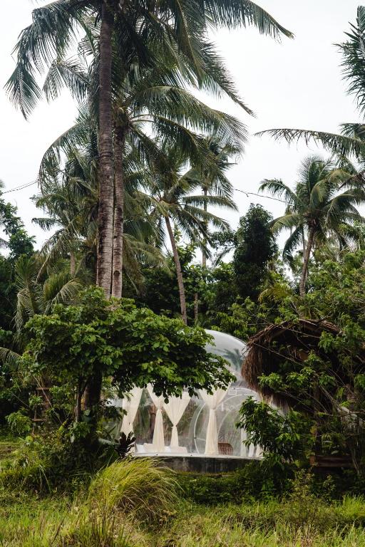 Zahrada ubytování Bubble Siargao