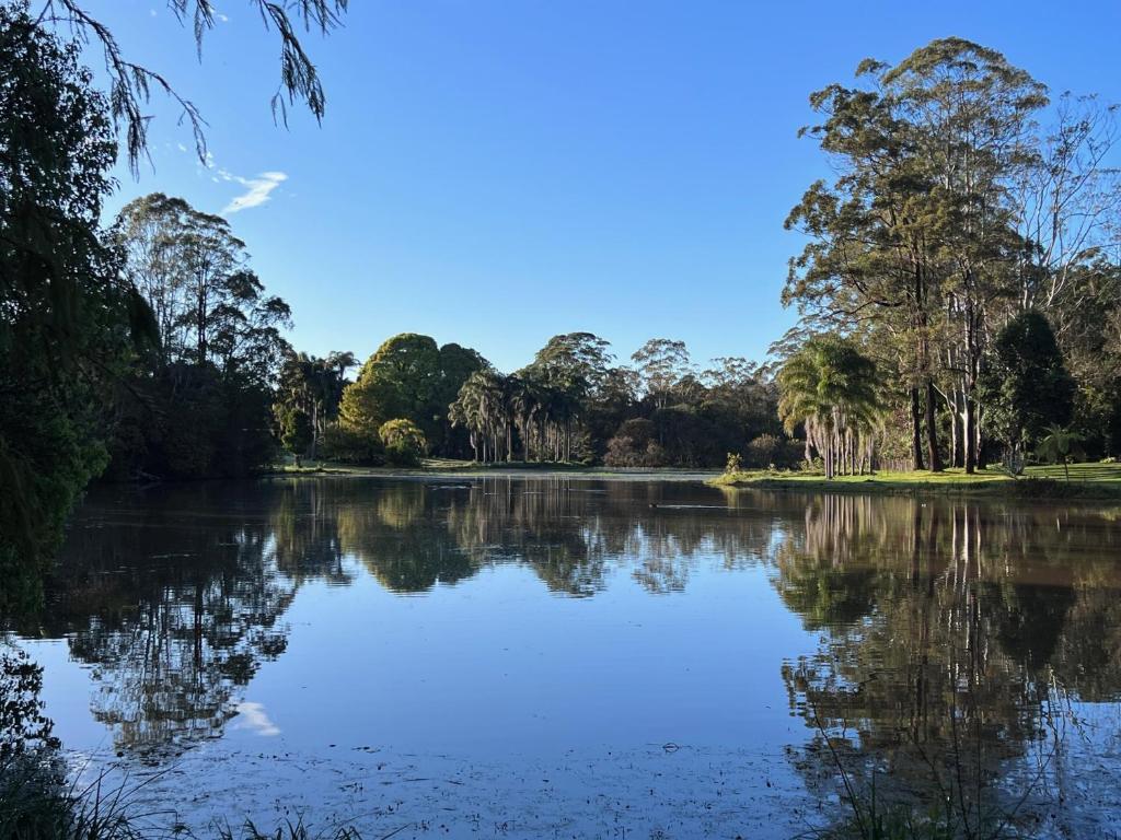 a view of a lake with trees in the background at Harmonic Haven in Witta