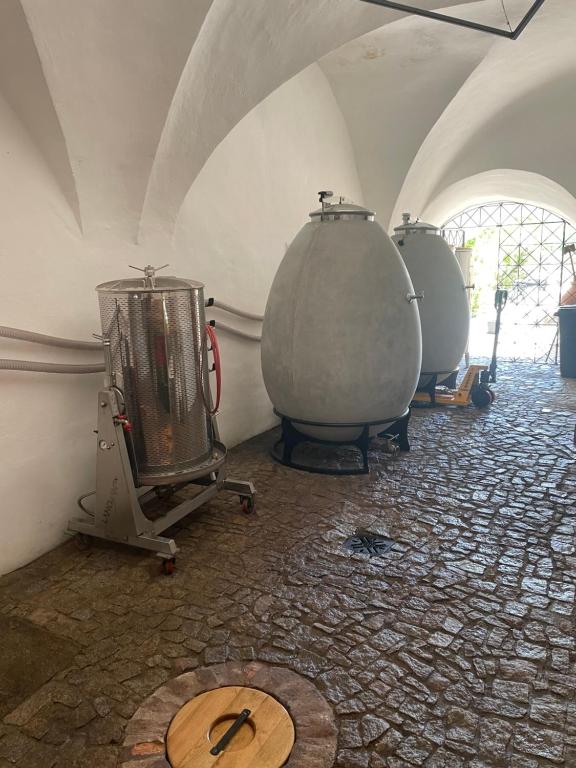 Fitness centrum a/nebo fitness zařízení v ubytování Renesanční vinařský dům v historickém centru Znojma