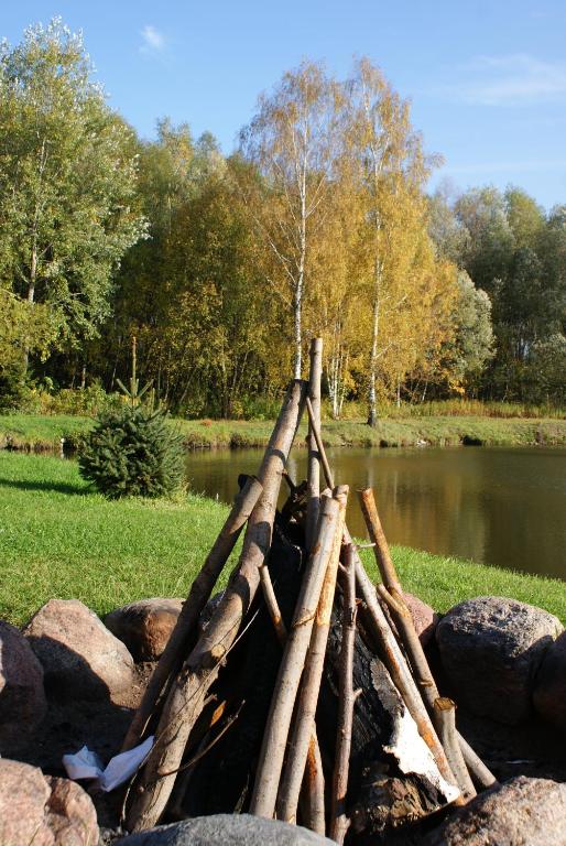 Unlit teepee-style bonfire built of logs within stone ring beside a calm lakeside