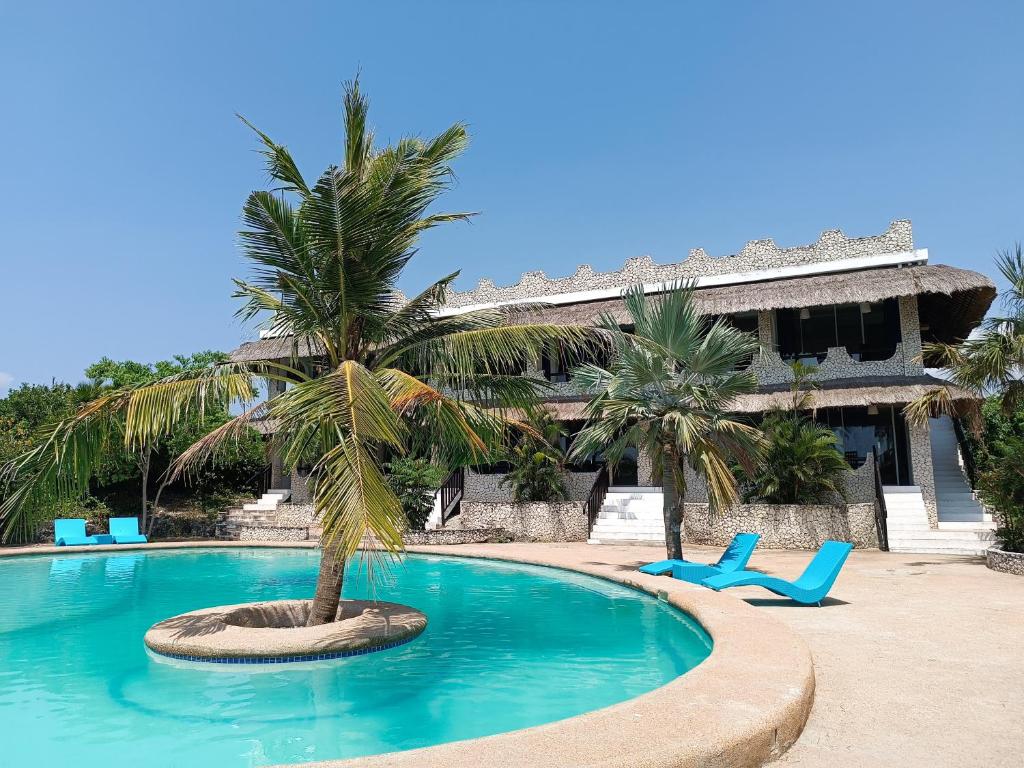 a swimming pool with two blue chairs and a palm tree at The Wild Orchid Resort - Moalboal in Moalboal