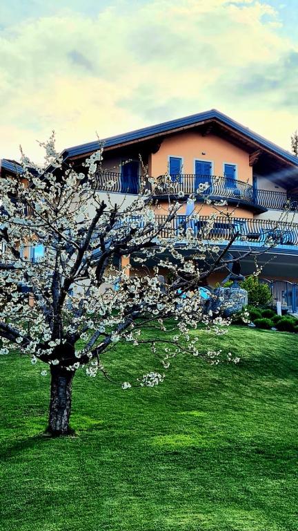 Zahrada ubytování Affittacamere Dolce Sogno