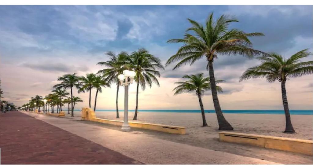 a row of palm trees on a beach with the ocean at Enjoy our brand new home close to Hollywood in Hallandale Beach! in Hallandale Beach